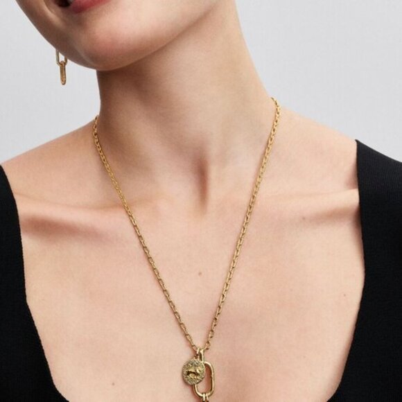 Pandora Lion Medallion Charm - Picture 6 of 6